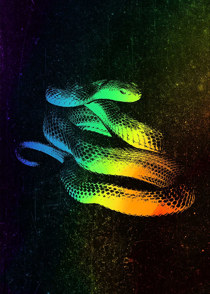 Bamboo Viper