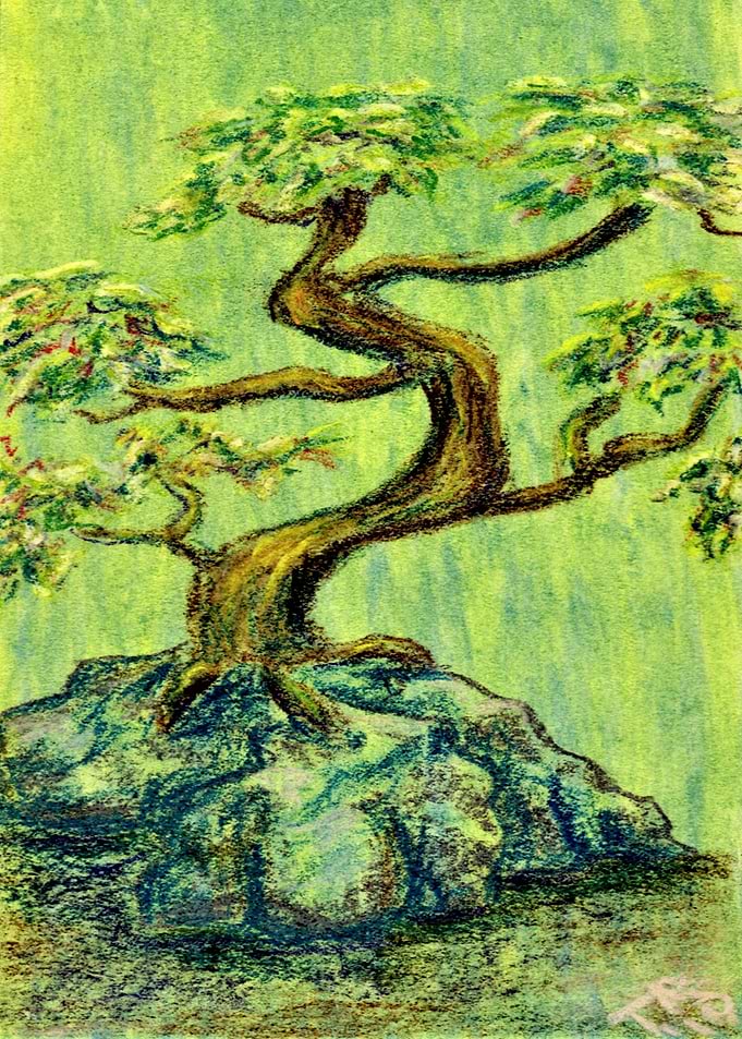 Gentle Bonsai
