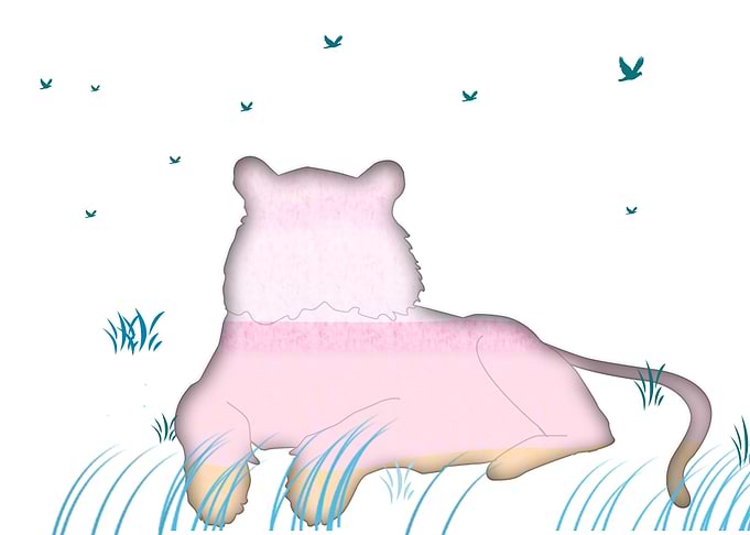 Pink Tiger