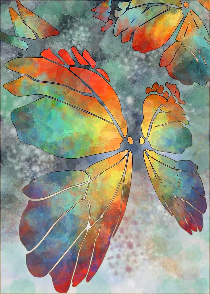 butterflies
