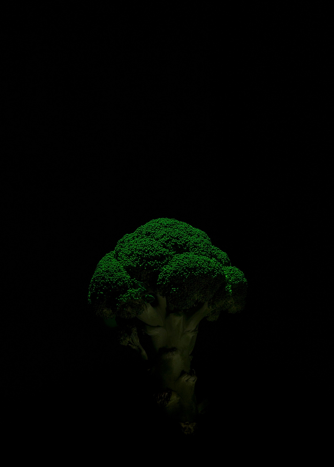 Green Broccoli