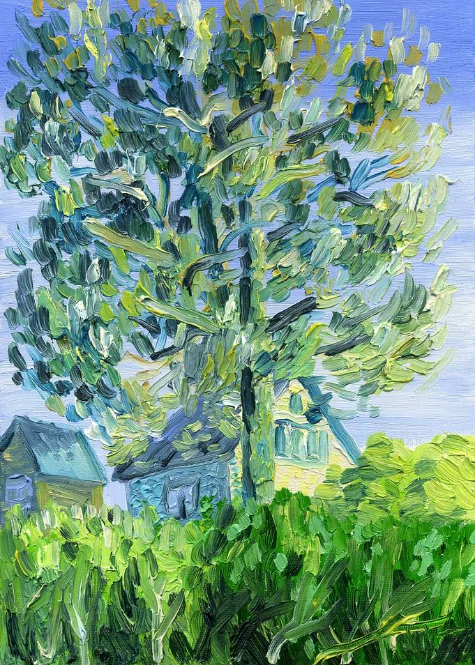 High Pine In The Village