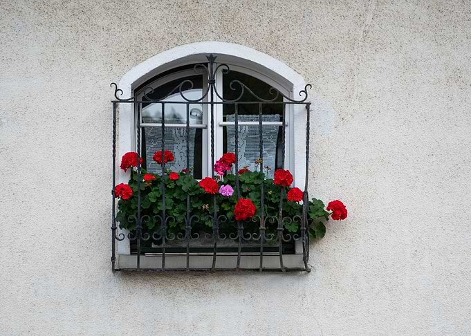 Windows