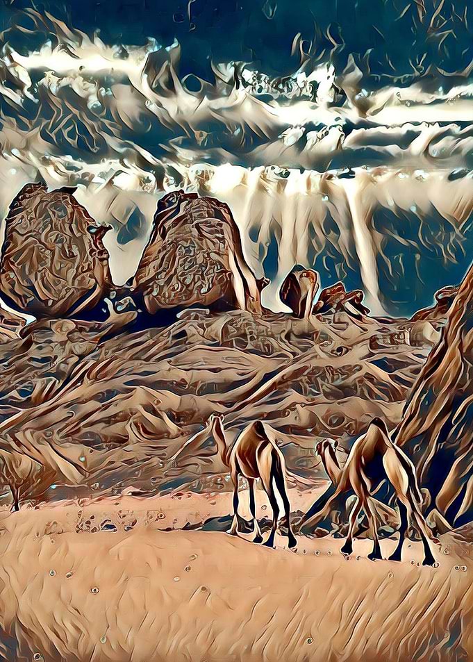 Desert sahara algeria