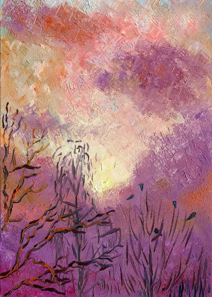 Rooks Trees And Sunset Sky