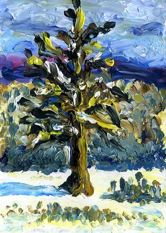 Oak In Winter