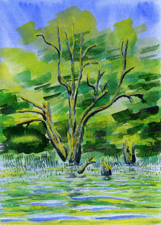 Old Tree In The Water 4
