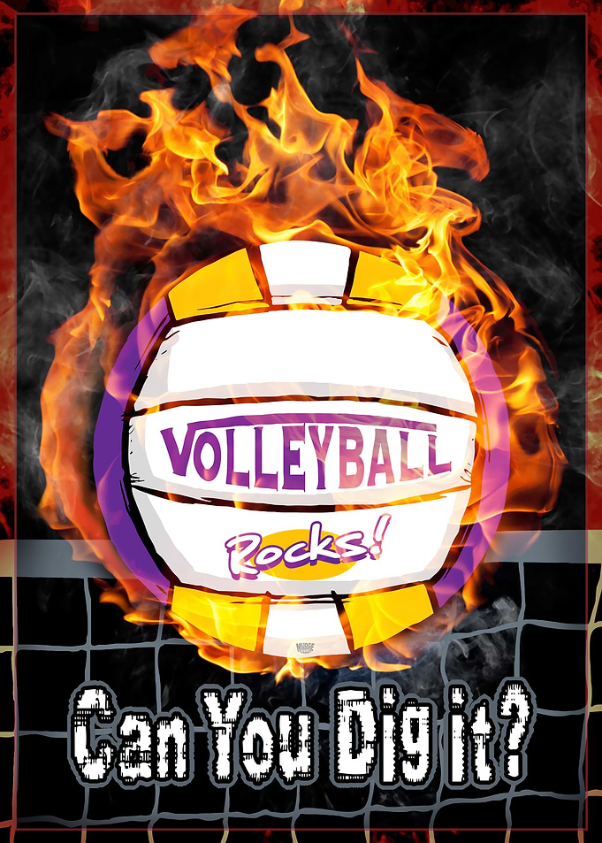 Dig It Purple Gold Vball