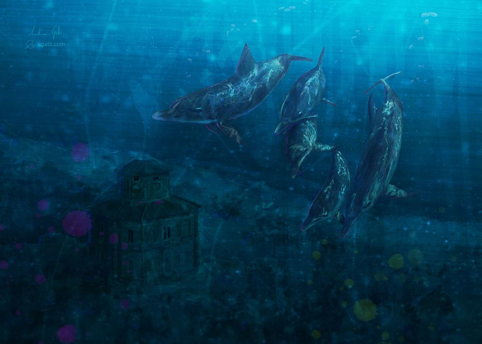 Zizzola underwater 2009