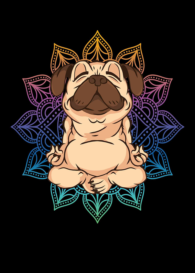 Yoga Pug