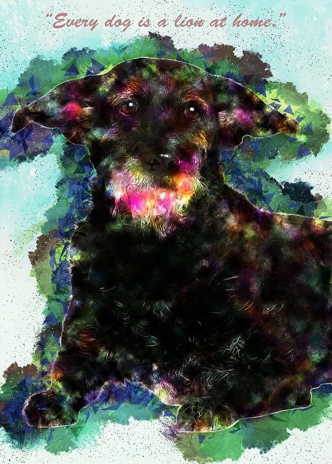 Dog Quote