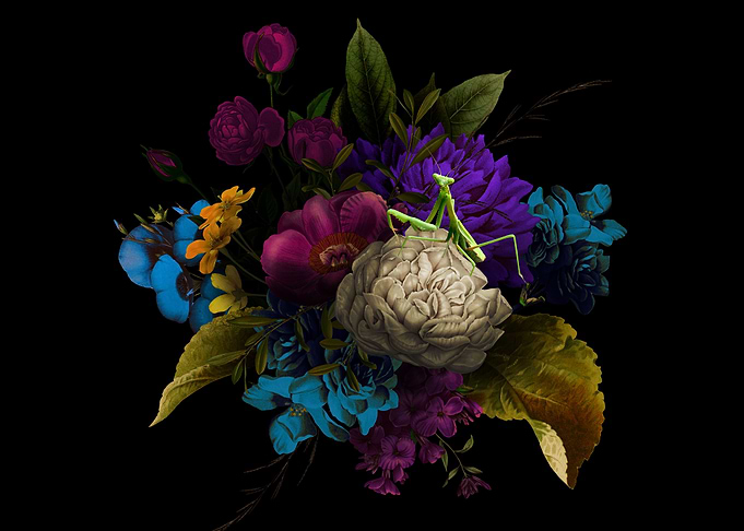 Praying Mantis Posy