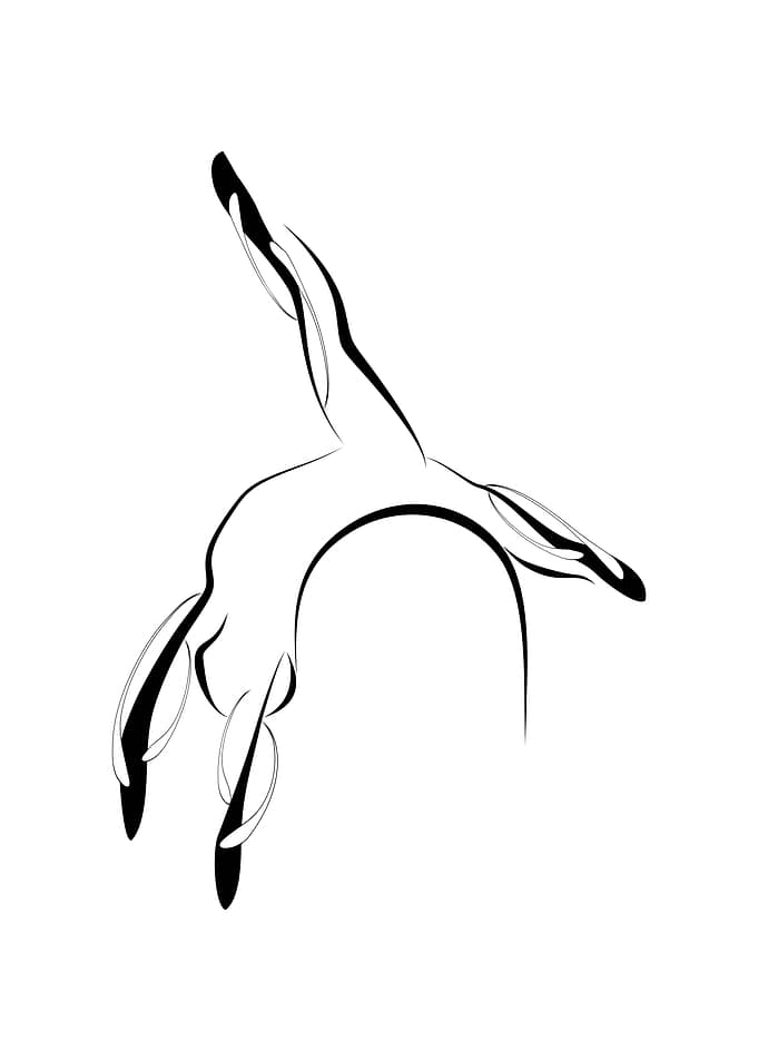 Abstract Pilates pose