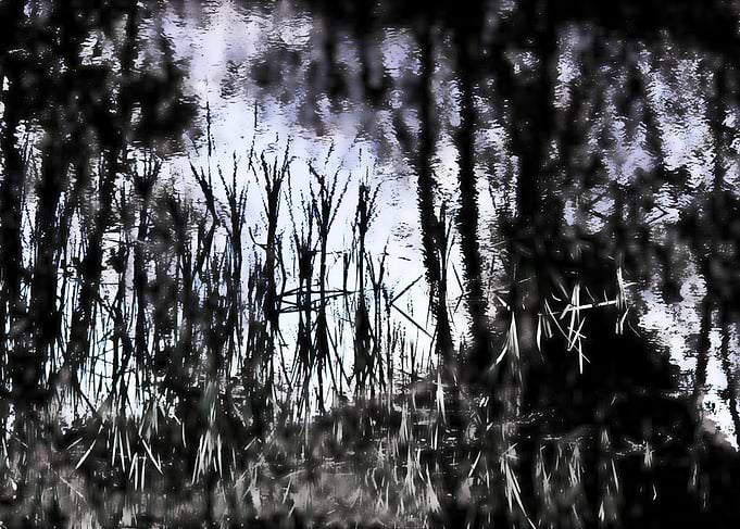 Dropwater