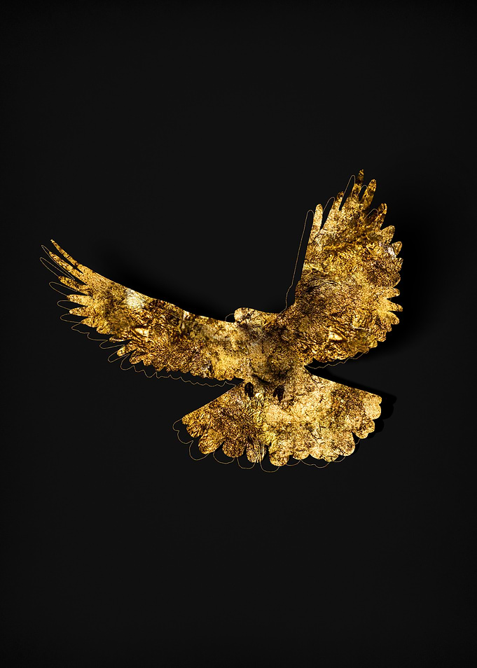 Gold Fauna on Black