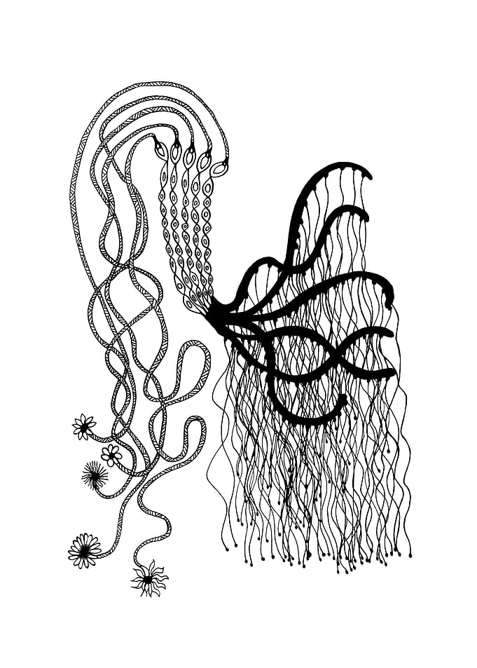 Strings