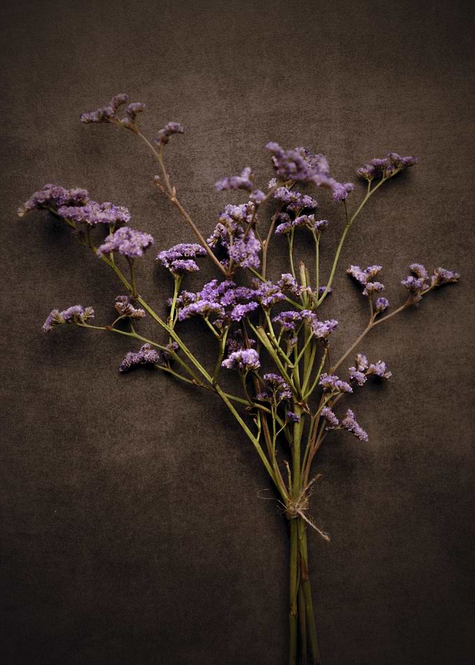 herbs and flowers