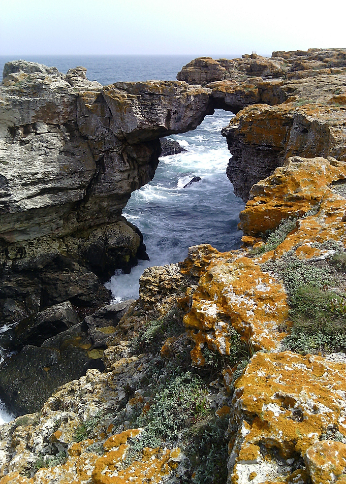 Black Sea Seascape