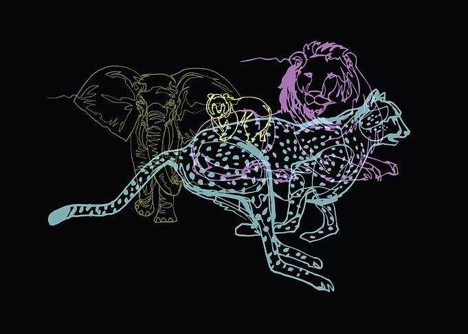 Animals With One Lin