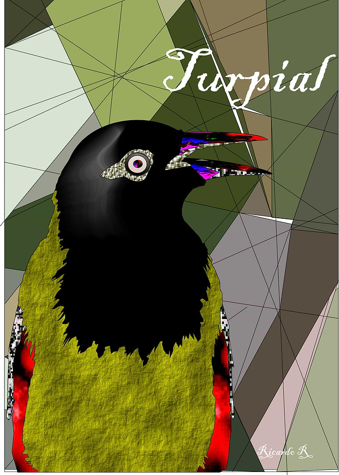 Turpial