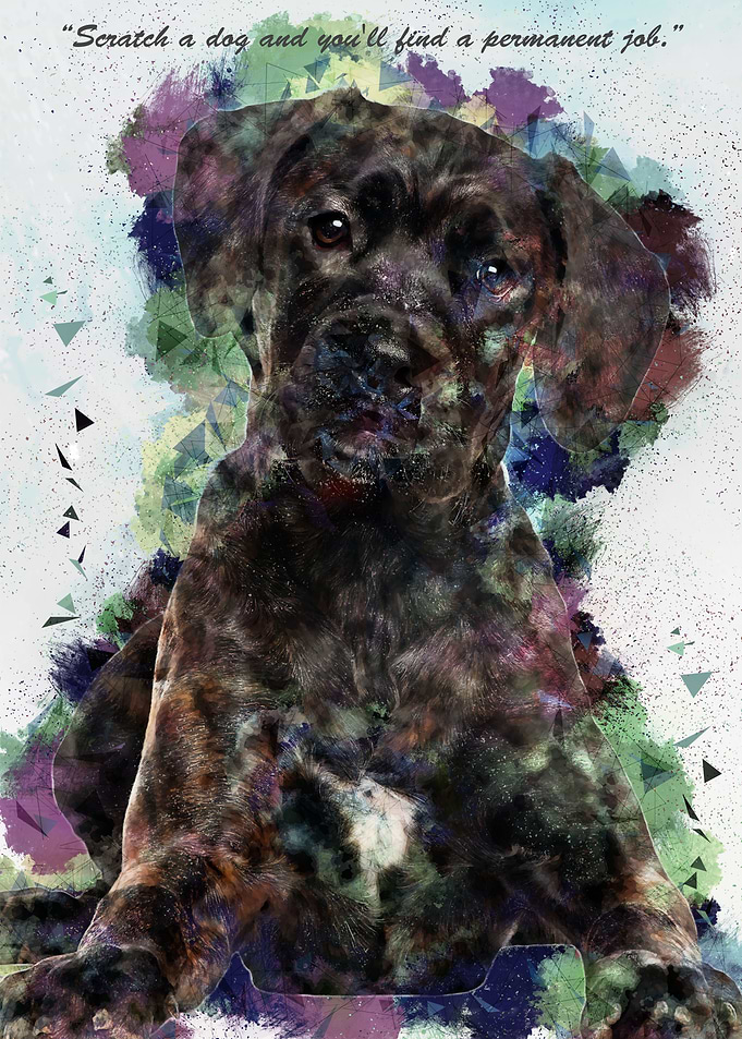 Dog Quote