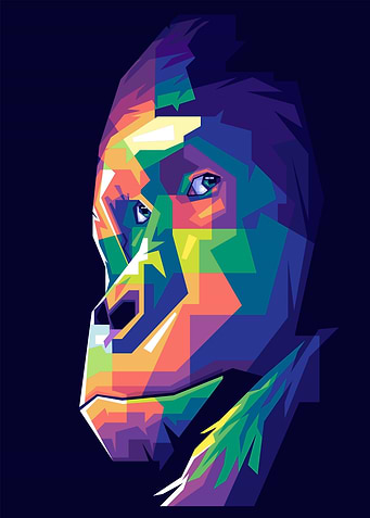 Monkey