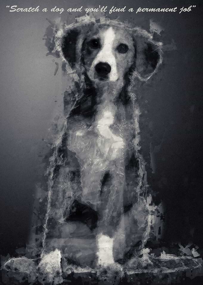 Dog Quote