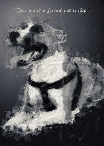 Dog Quote