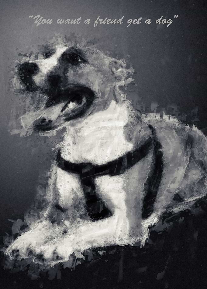 Dog Quote