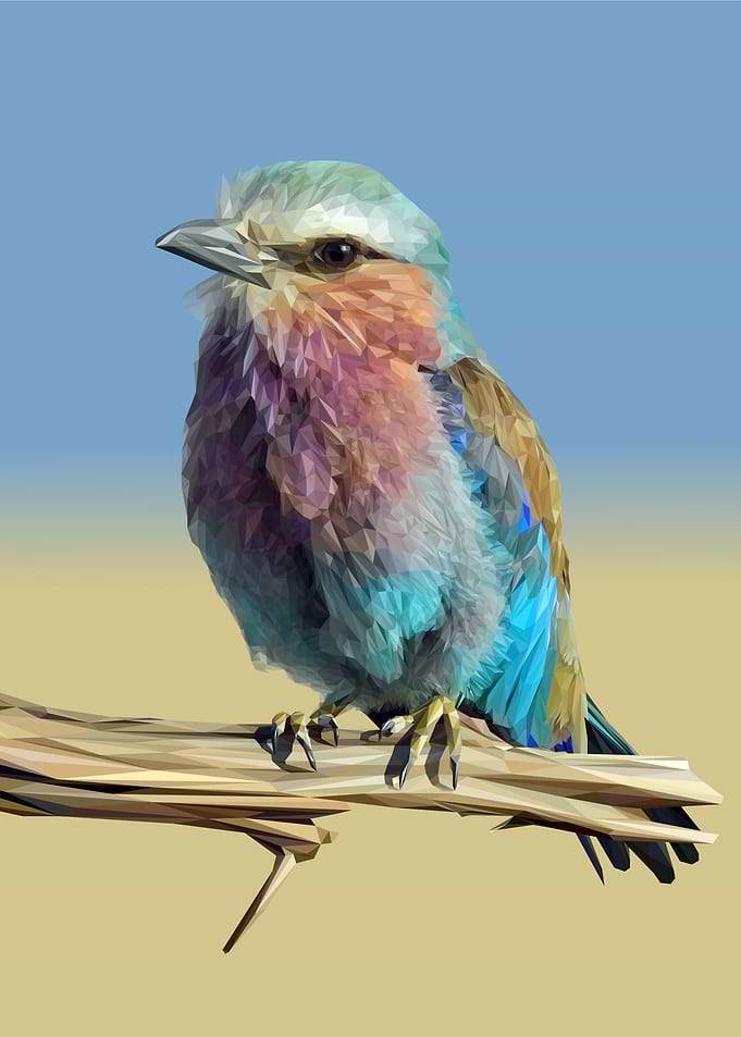 Lilac Roller