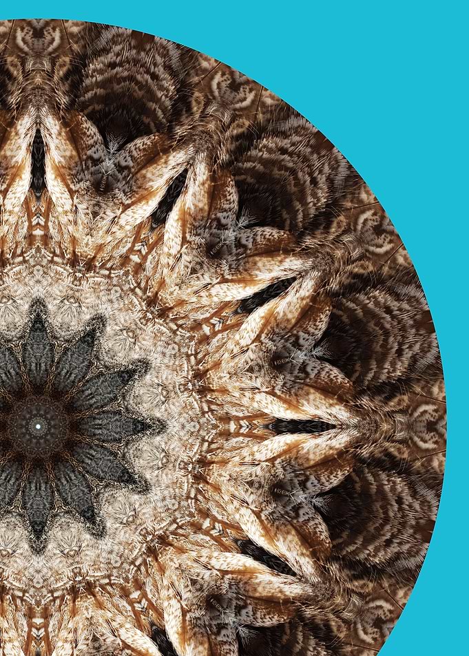 Owl Mandala I