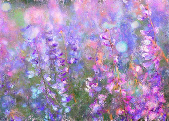 Field of Flowers Painting