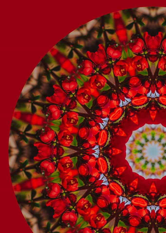 Peonies Mandala