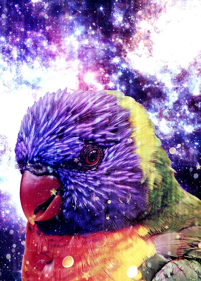 Parrots fly high