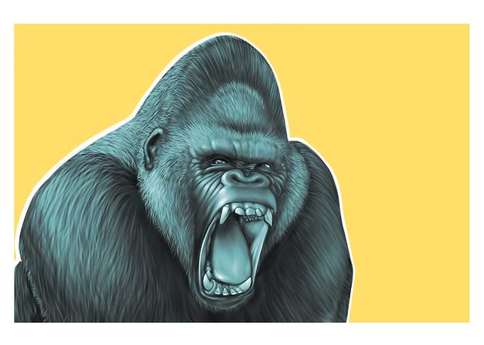 Silverback gorilla
