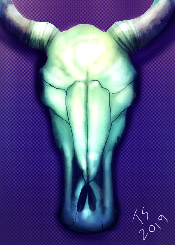 Cow Skull