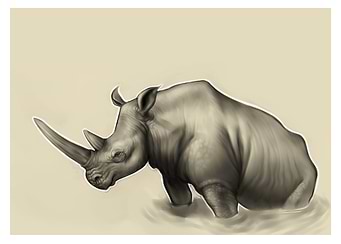 Rhinoceros