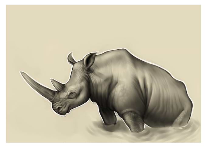 Rhinoceros
