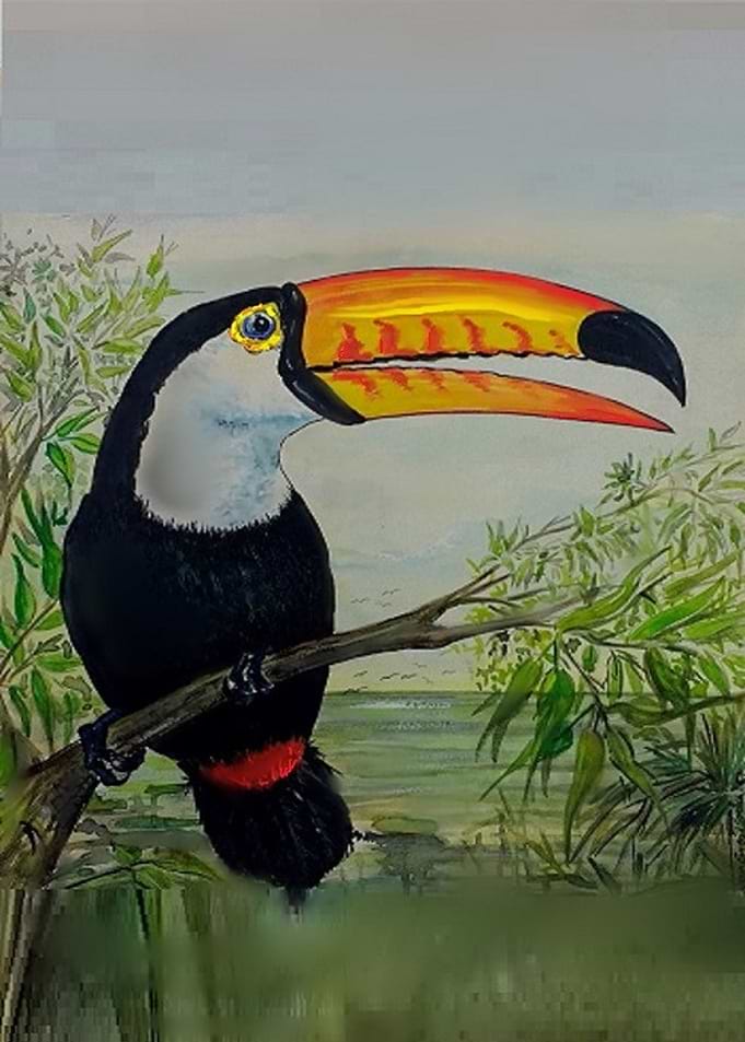 Tucano