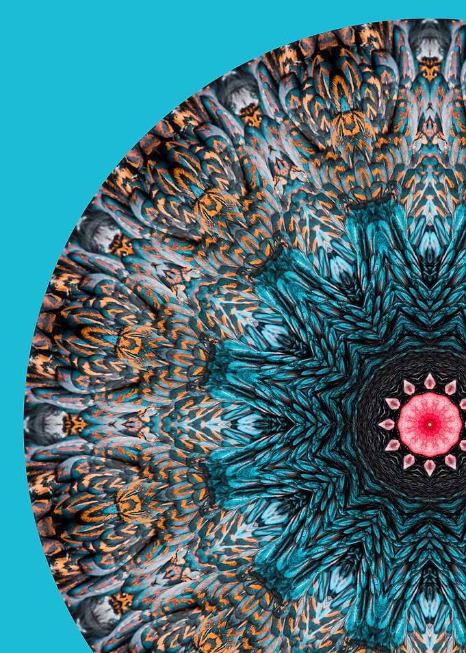 Hen Feather Mandala