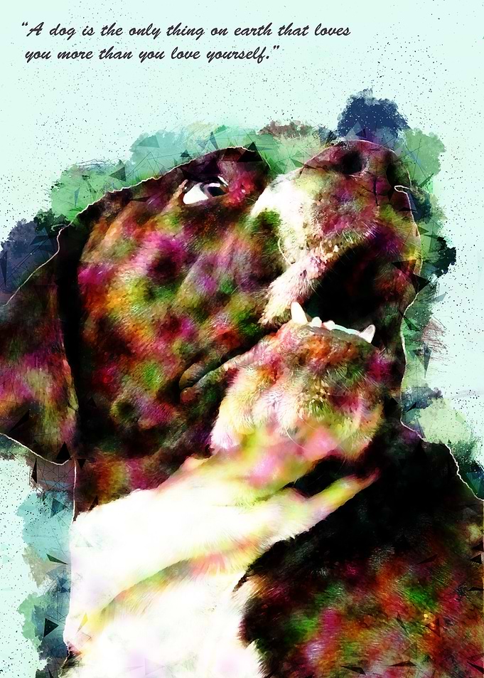 Dog Quote