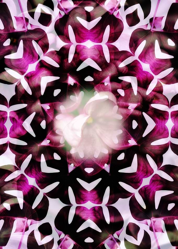 Pink Floral Mandala