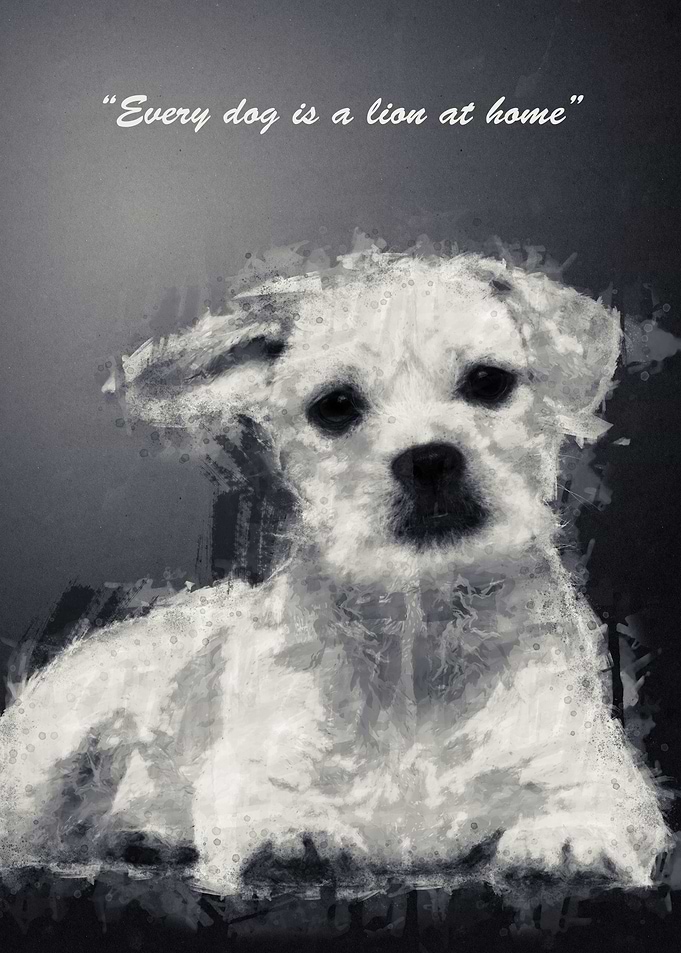Dog Quote