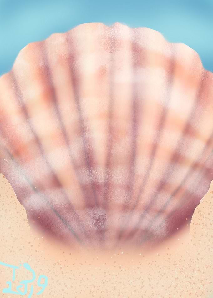Seashell