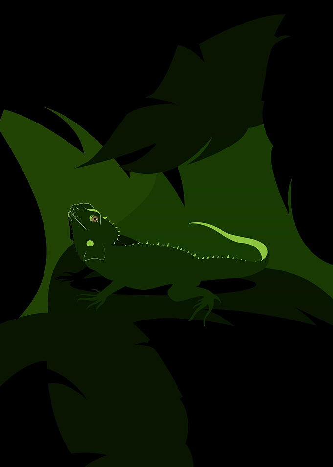 Dark Jungle