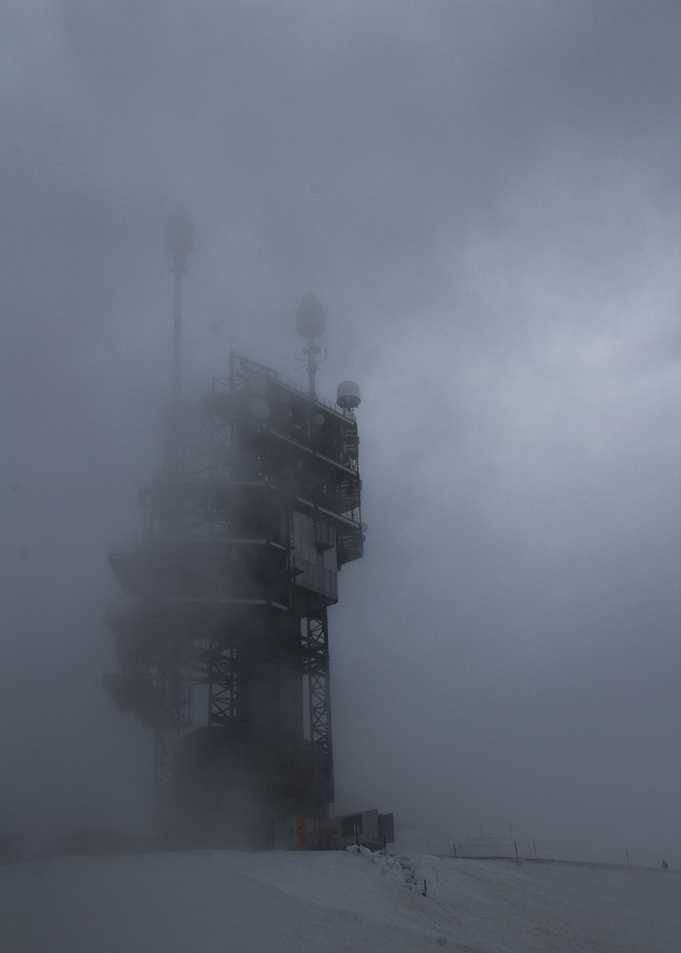 Into the Fog