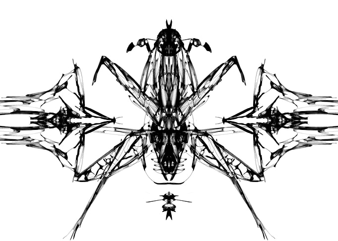 abstract black