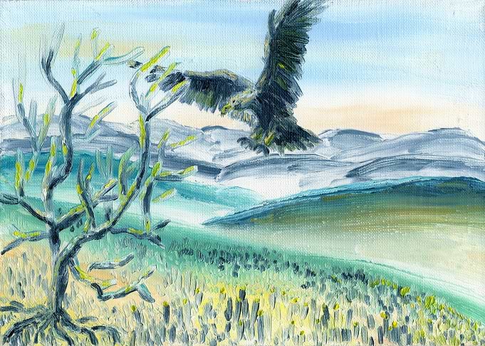 Mountain Eagle