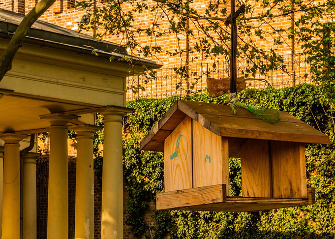 BirdHouse