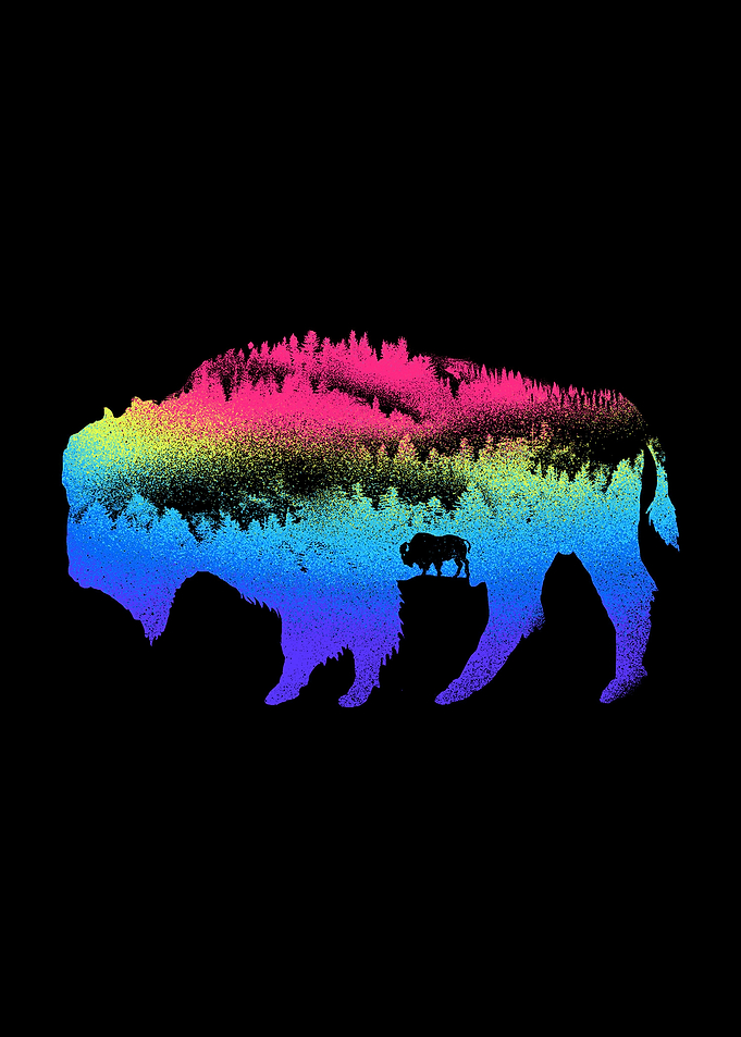 Bison nature